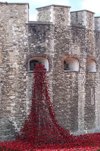 poppies, klaprozen, Blood Swept Lands and Seas of Red