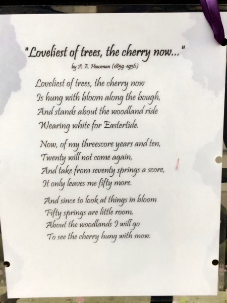 Poëzie, gedicht, A.E. Housman, New York