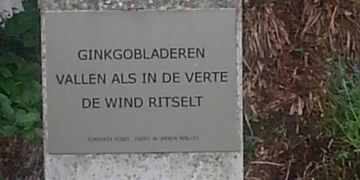 Poëzie, gedicht, haiku, Tomiyasu Fusei, Leuven